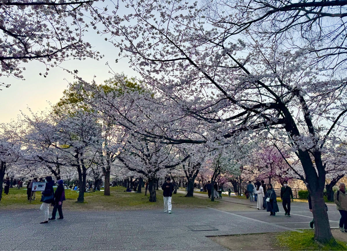 圓山公園 | 去趣 chicTrip