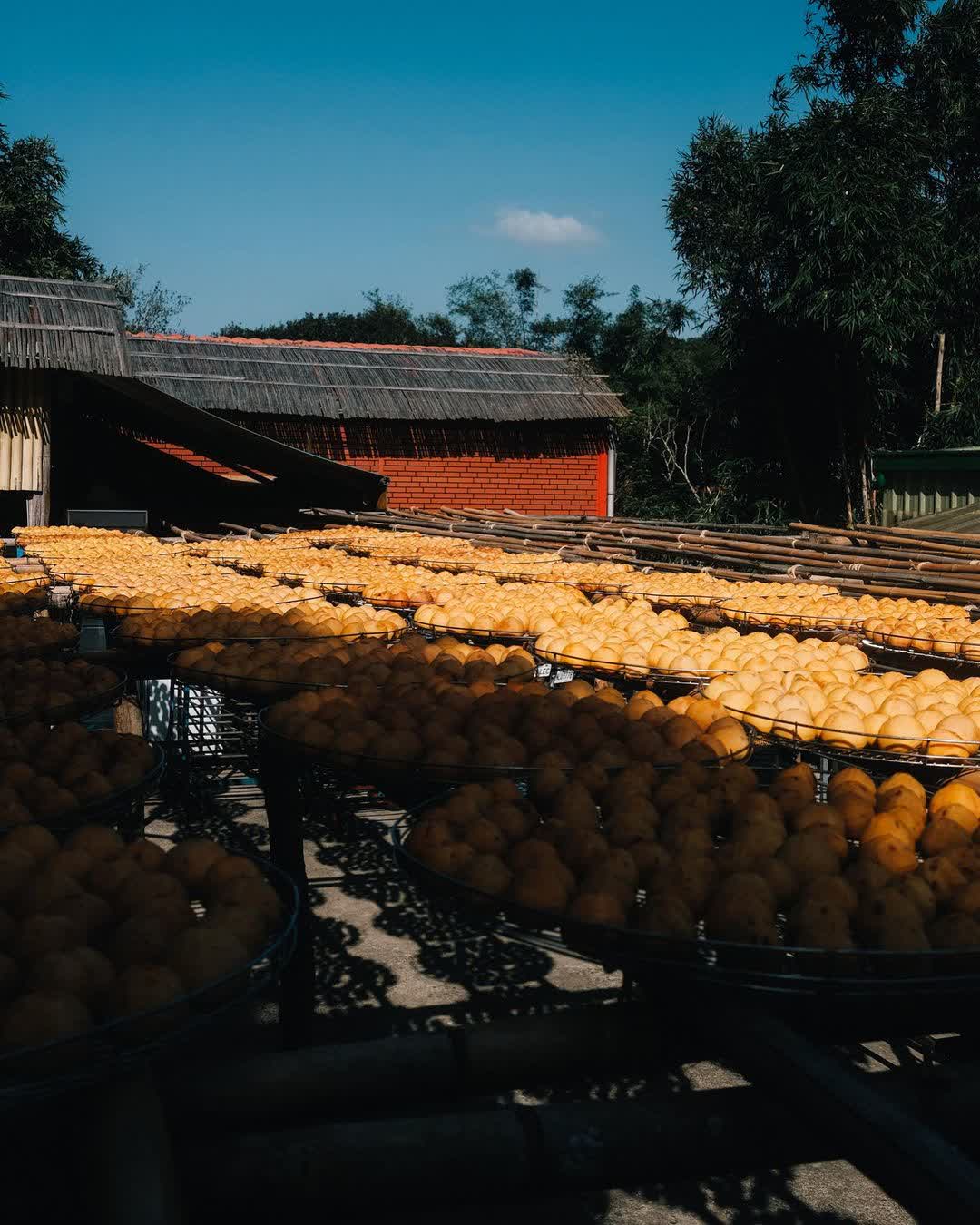 味衛佳柿餅教育農園 | 去趣 chicTrip