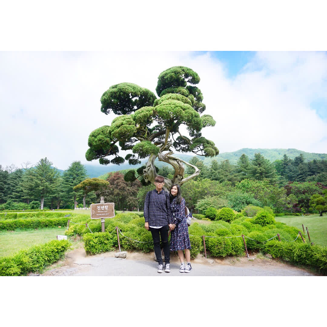 晨靜樹木園 | 去趣 chicTrip