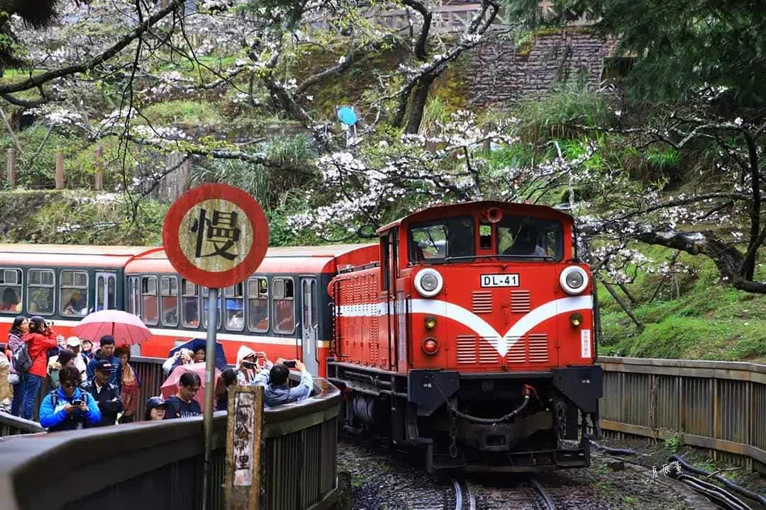 阿里山國家森林遊樂區 | 去趣 chicTrip
