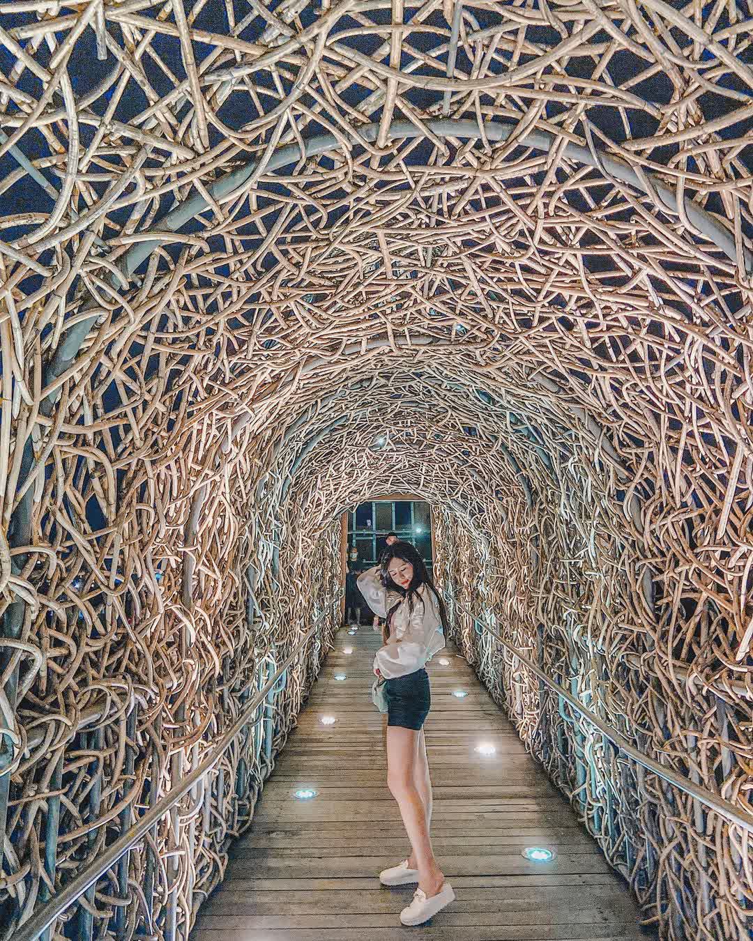 森林之歌 | 去趣 chicTrip