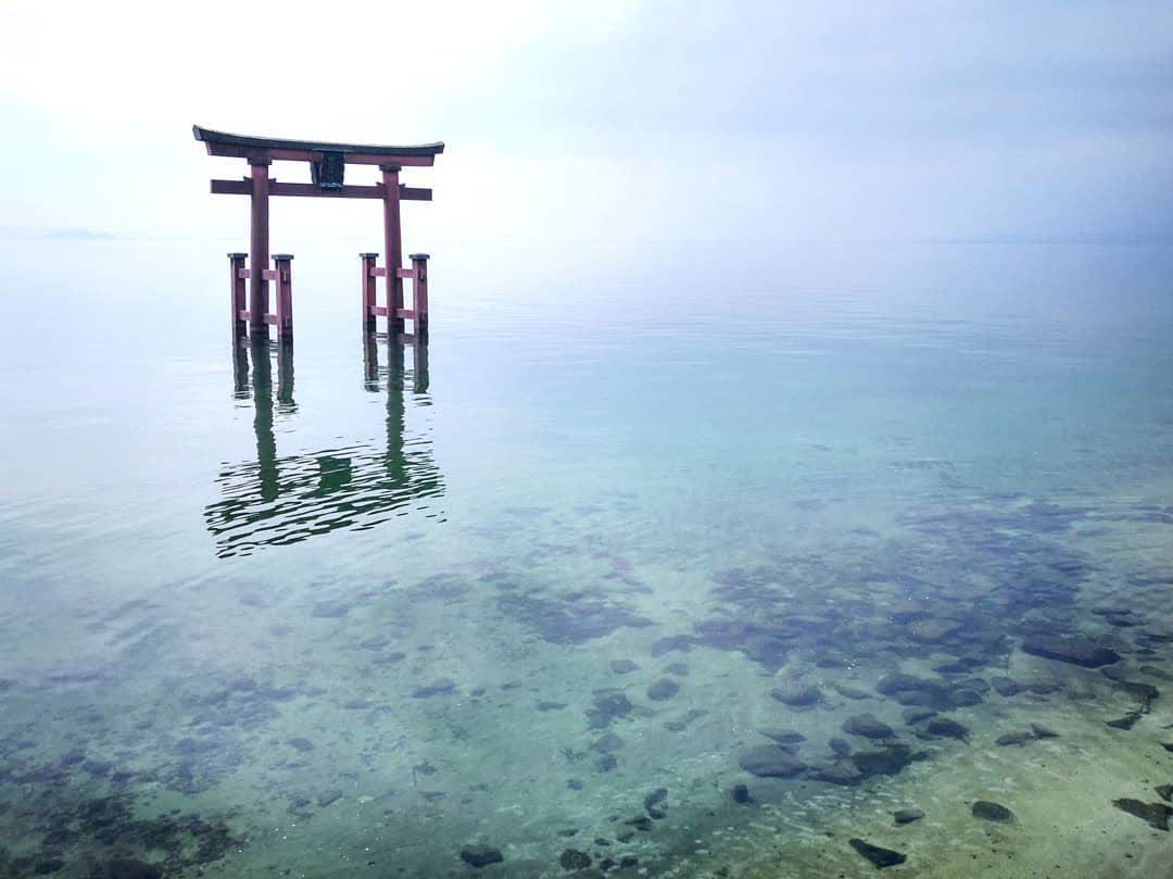 琵琶湖湖中鳥居（白鬚神社） | 去趣 chicTrip
