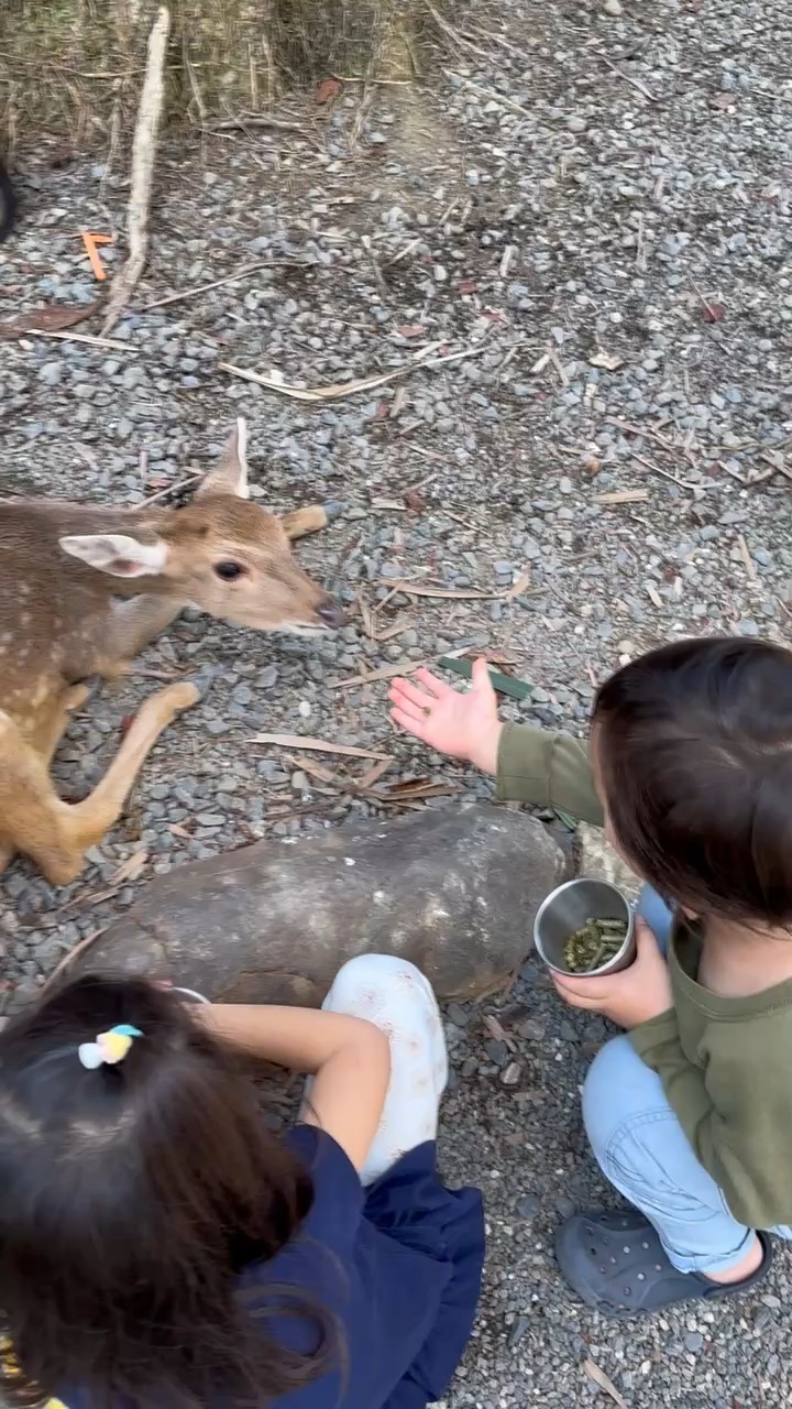 淨園農場 | 去趣 chicTrip