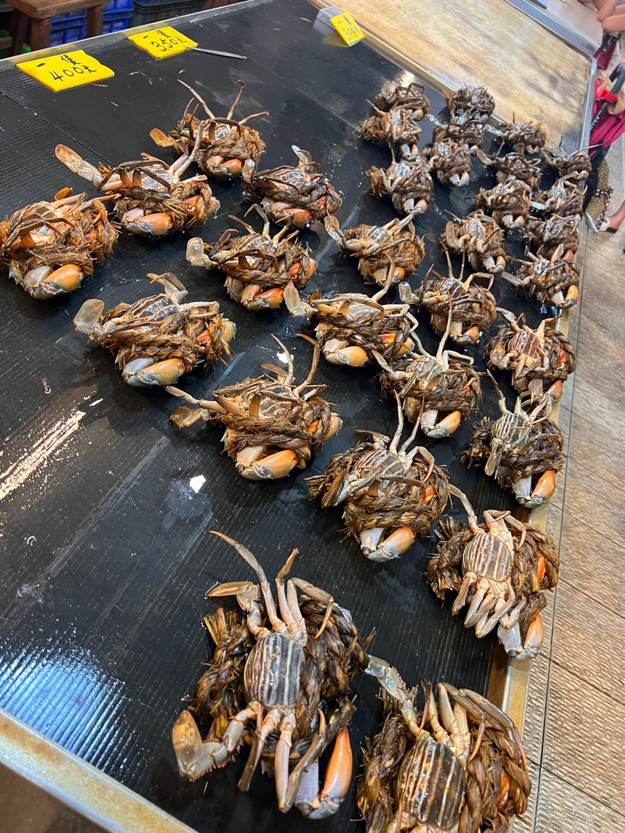 東港漁港漁產品直銷中心（華僑市場） | 去趣 chicTrip