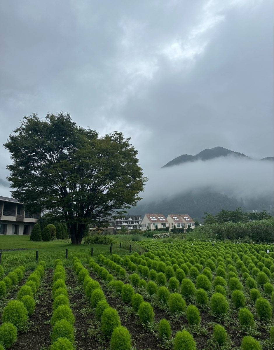 大石公園 | 去趣 chicTrip