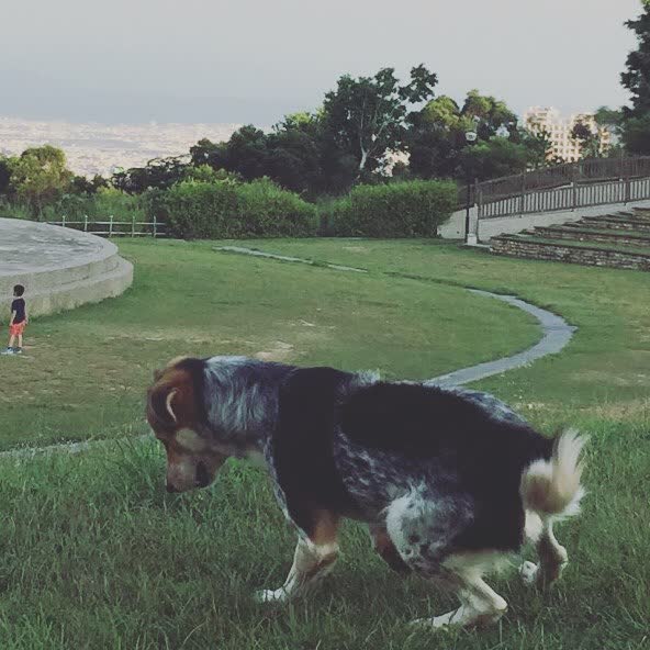 望高寮夜景公園 | 去趣 chicTrip