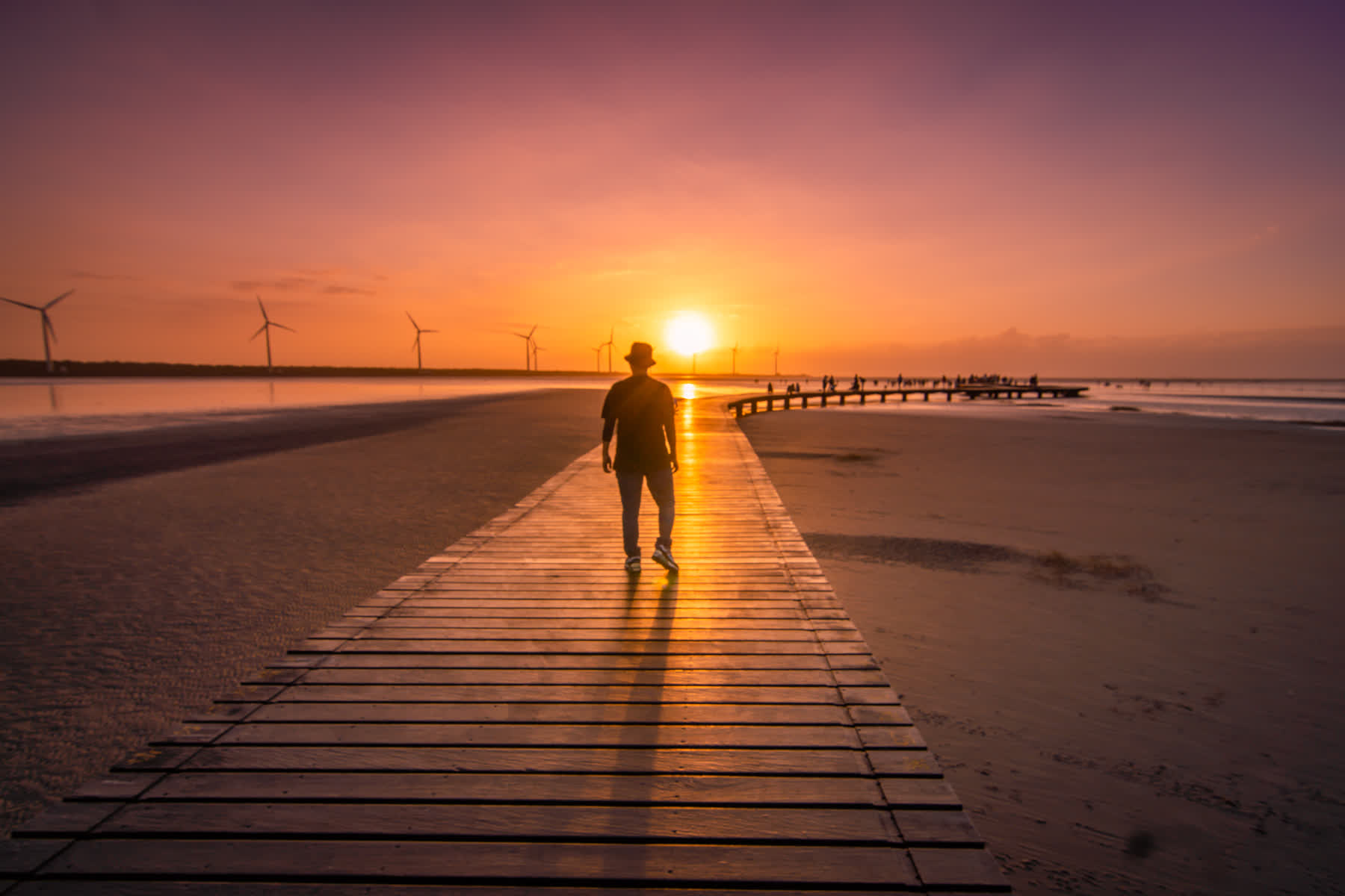 高美野生動物保護區 | 去趣 chicTrip