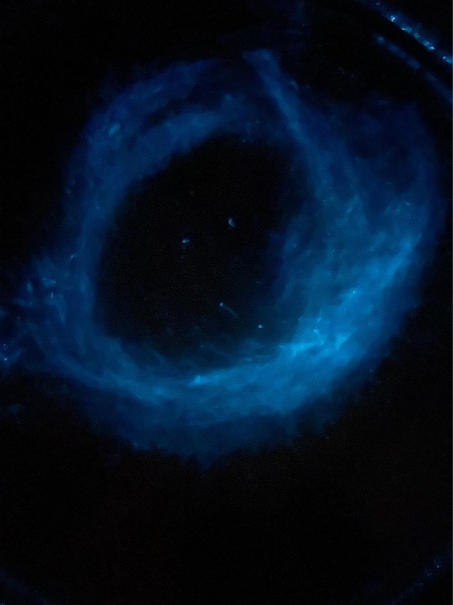 藍眼淚生態館 | 去趣 chicTrip