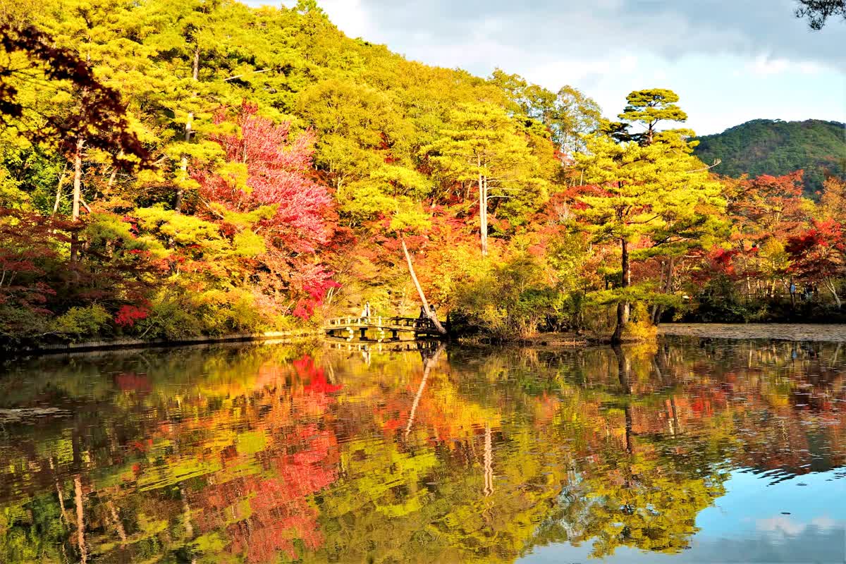 神戶市立森林植物園 | 去趣 chicTrip