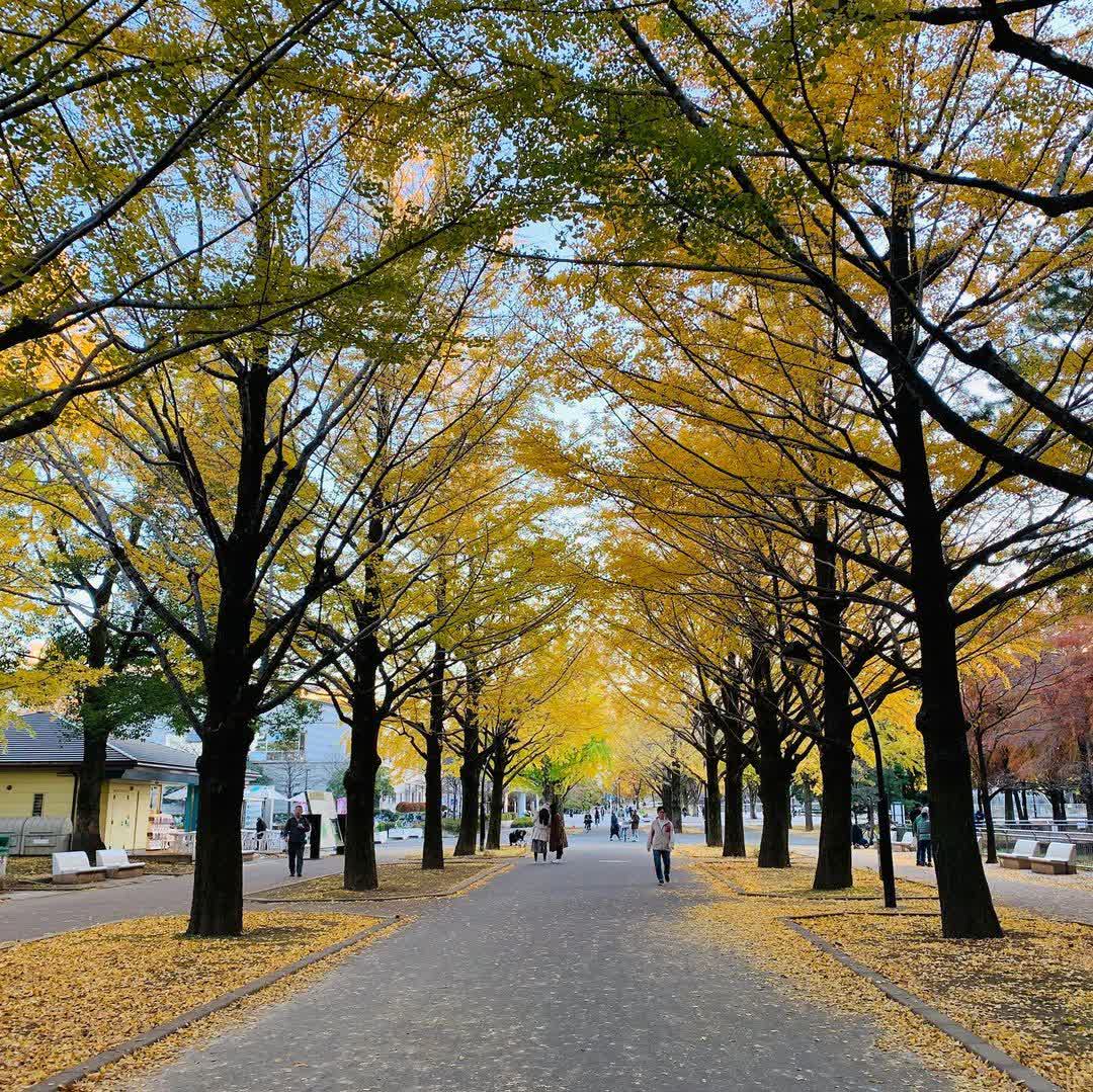 東京都立光丘公園 | 去趣 chicTrip