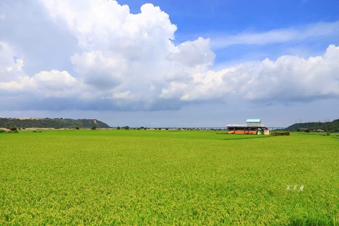 外埔忘憂谷 | 去趣 chicTrip