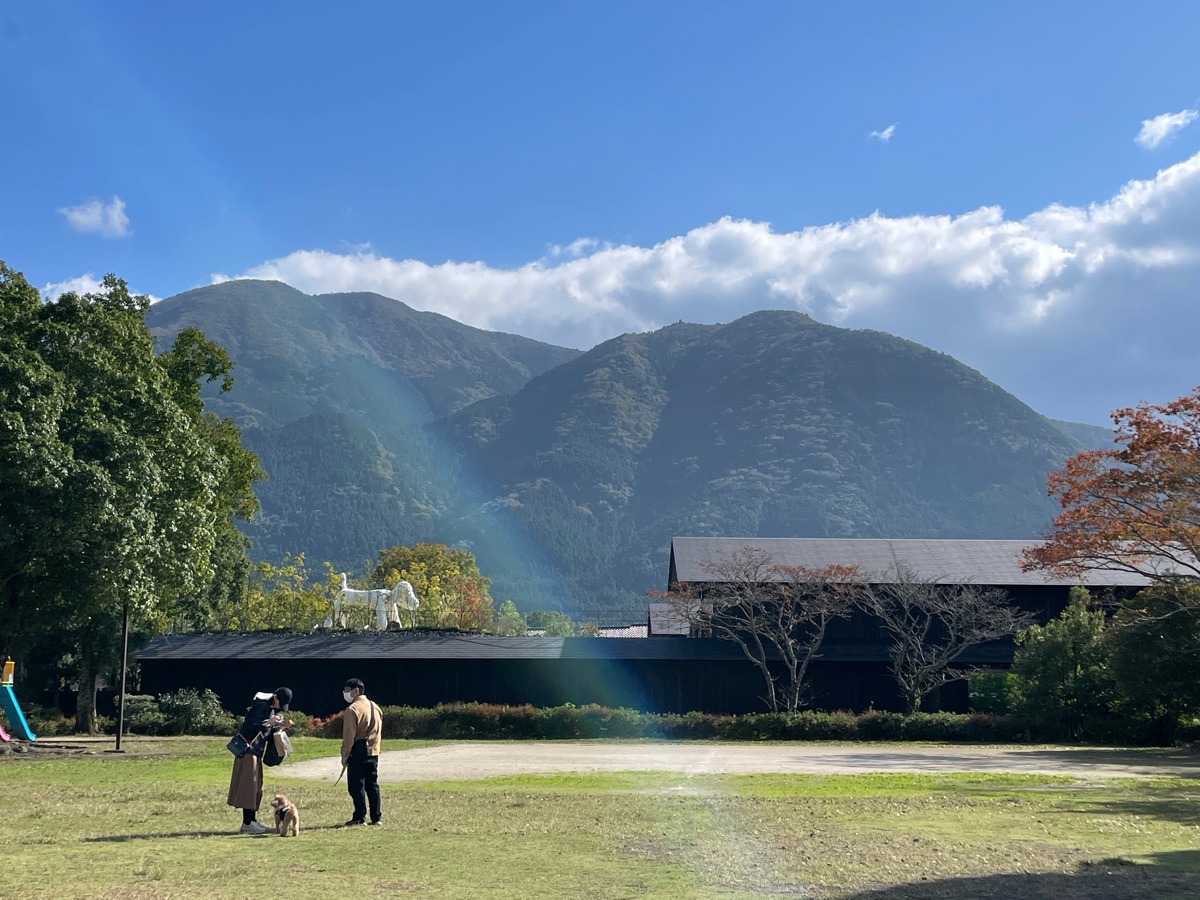 COMICO ART MUSEUM YUFUIN | 去趣 chicTrip