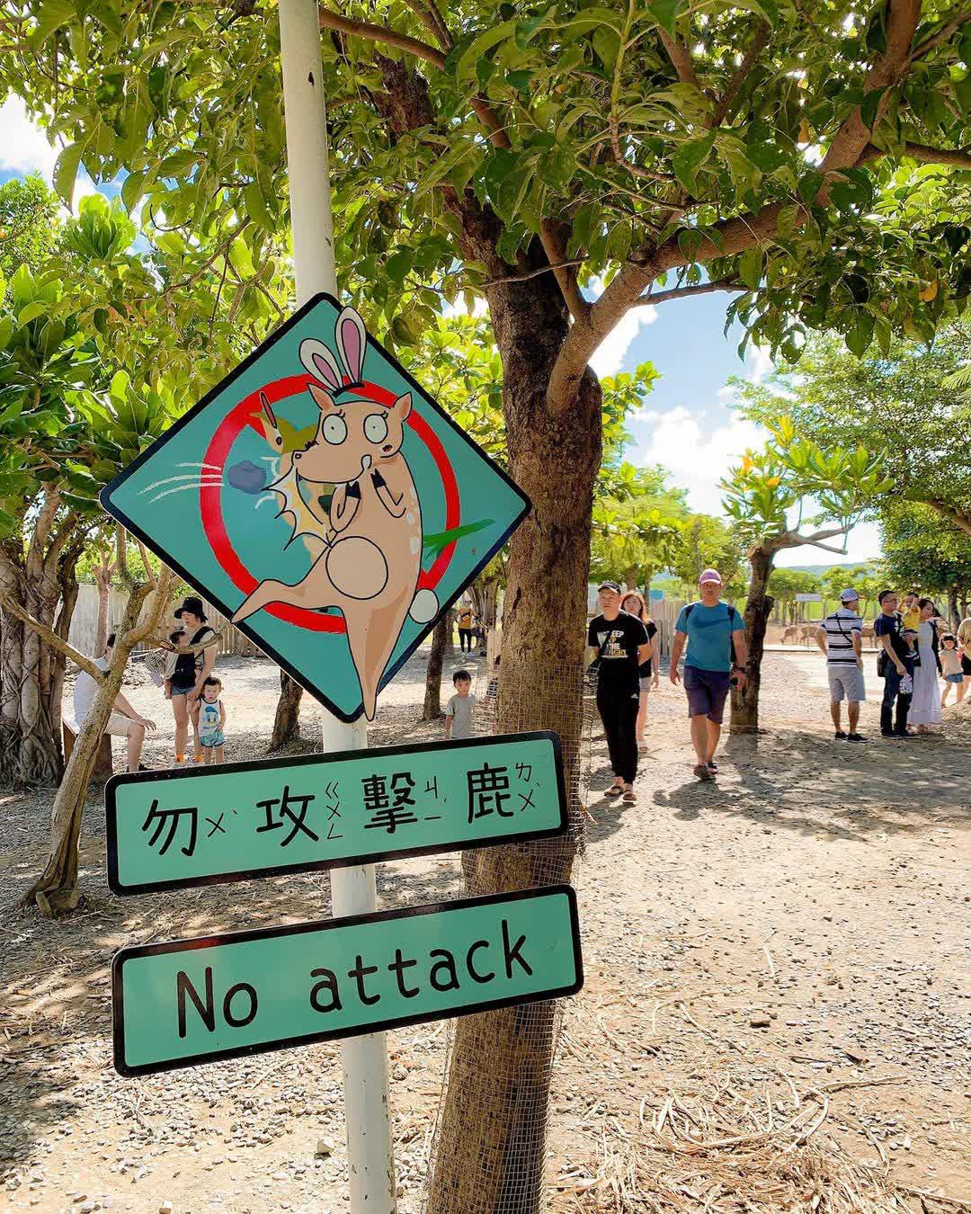 鹿境梅花鹿生態園區丨門票消費最高折抵140丨梅花鹿、水豚互動餵食丨室內親子DIY區丨親子遊戲區丨甜鹹輕食霜淇淋供應丨超可愛獨家紀念品丨奶茶、咖啡好喝 | 去趣 chicTrip