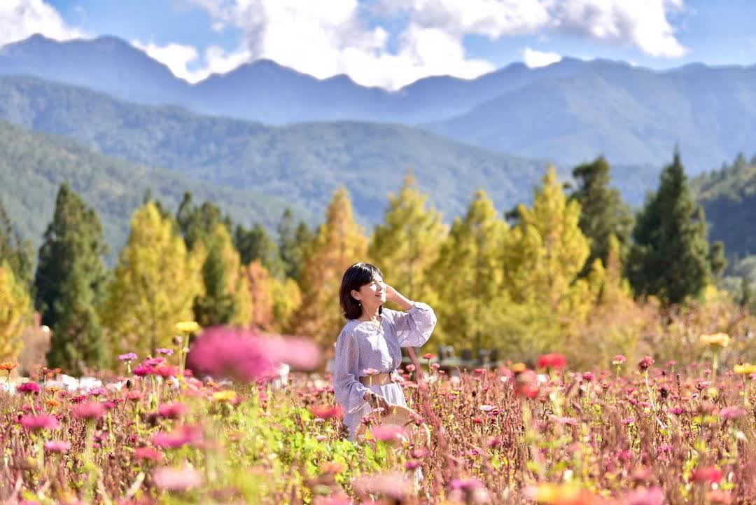 武陵農場 | 去趣 chicTrip