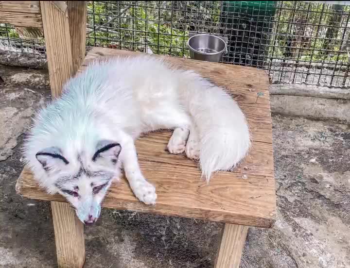 綠世界生態農場 | 去趣 chicTrip