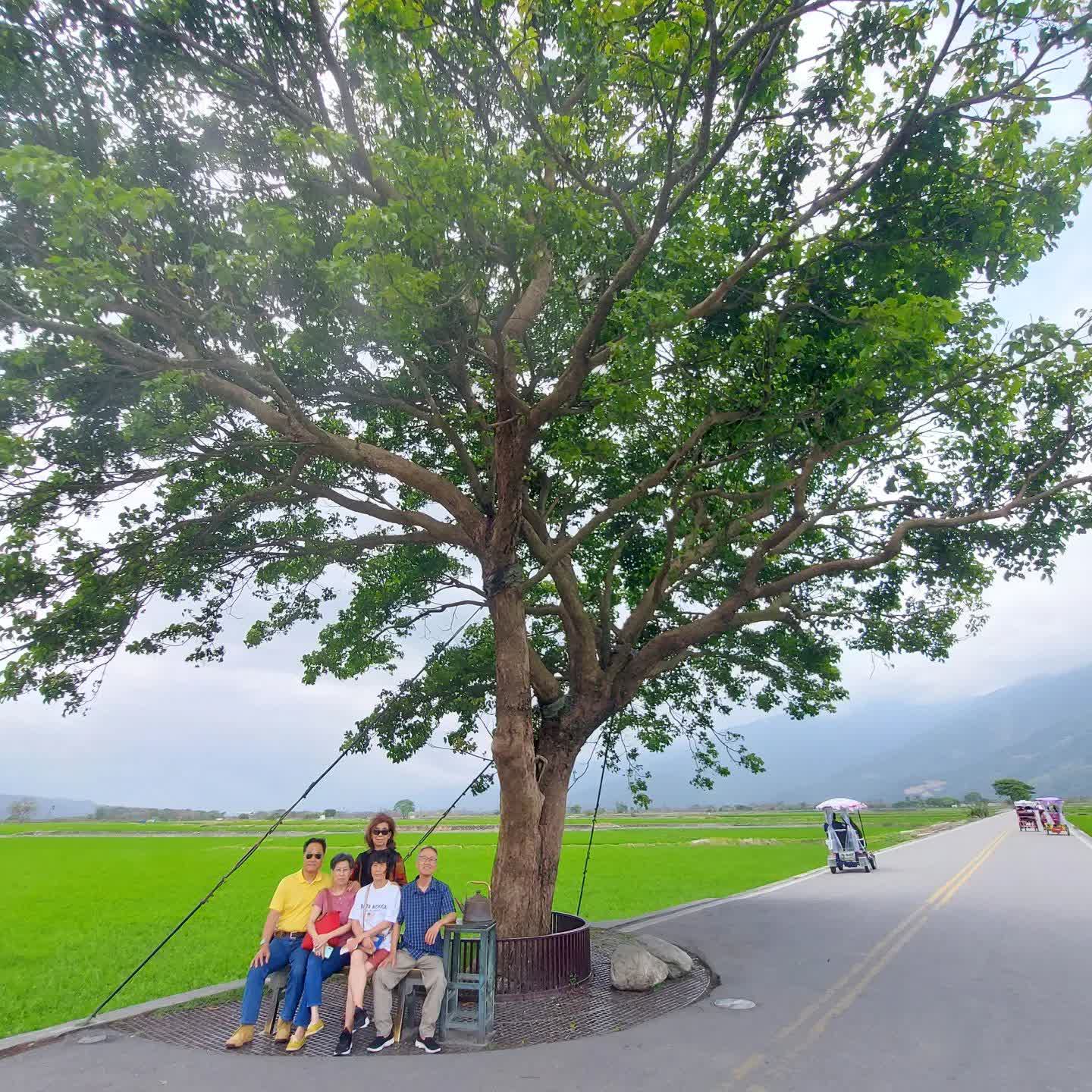 臺東池上錦新三號道路 伯朗大道 | 去趣 chicTrip