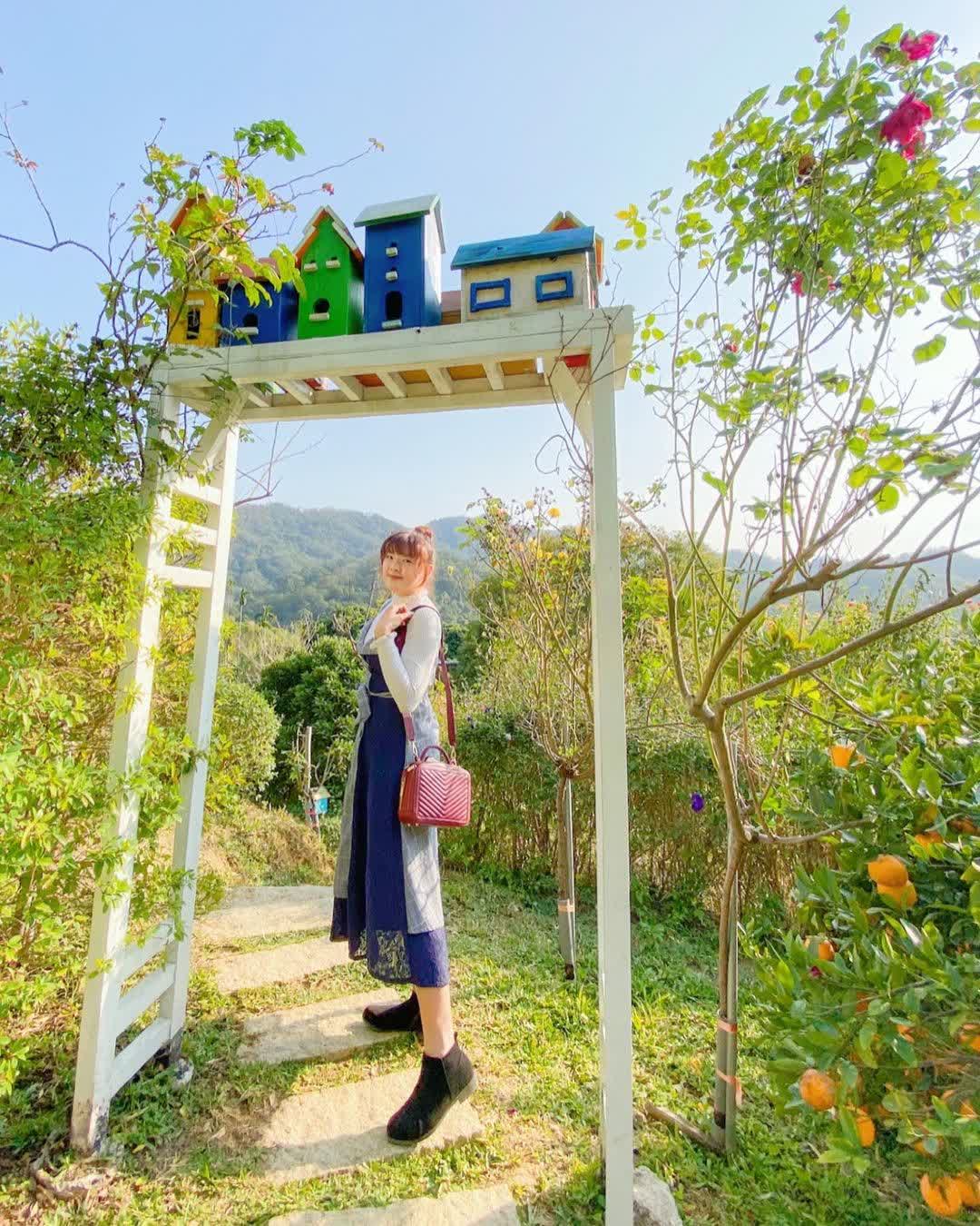 橙香森林 | 去趣 chicTrip