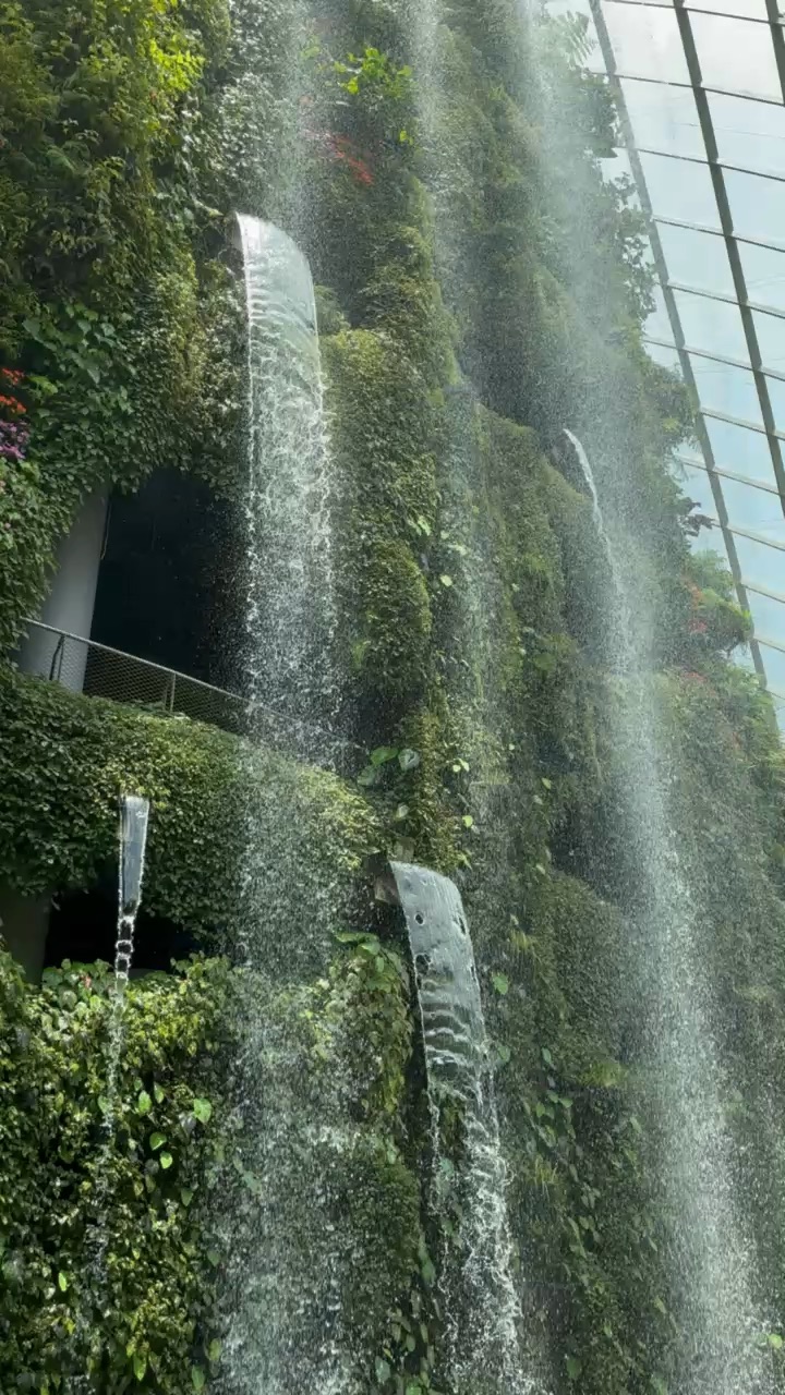 雲霧林 | 去趣 chicTrip