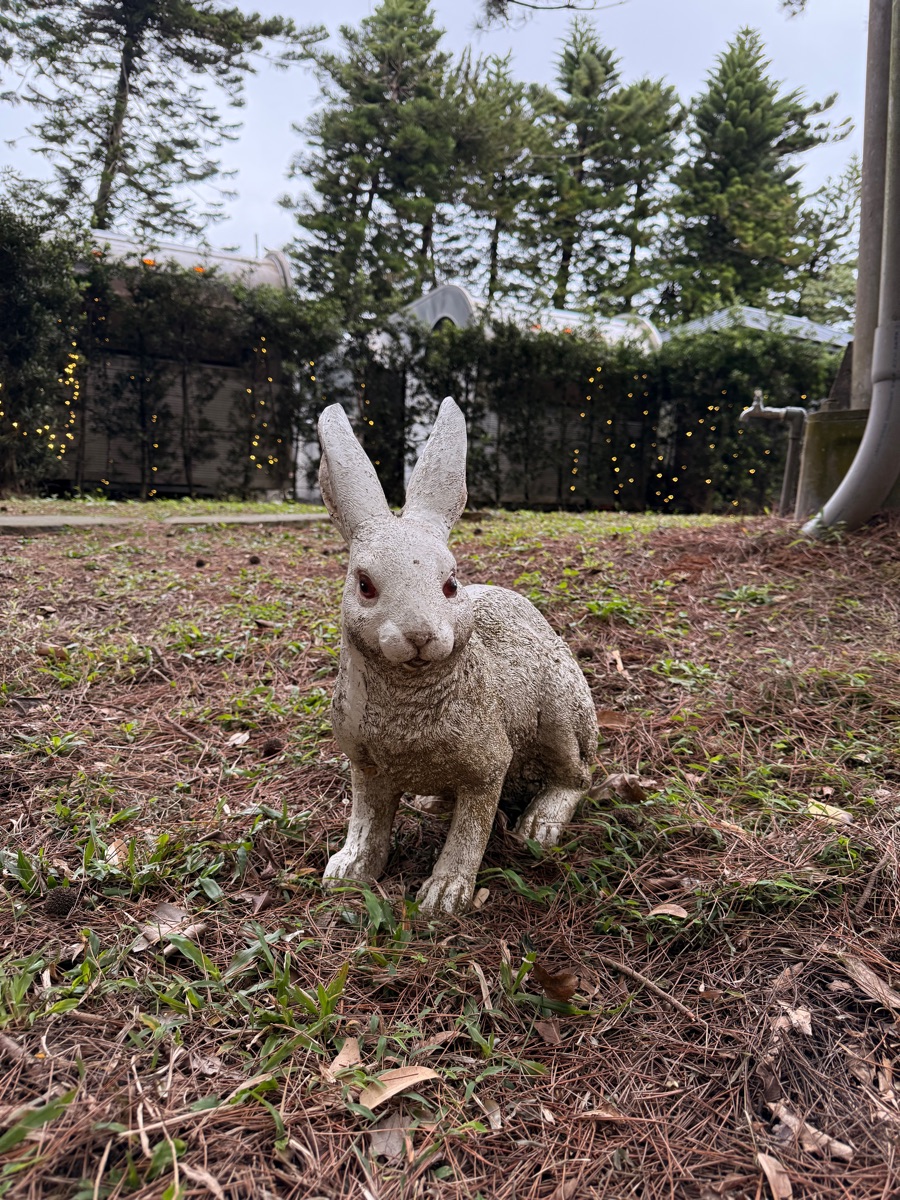 天成逸旅-朋趣豪華露營Bon Chill Glamping By Cosmos Otium | 去趣 chicTrip
