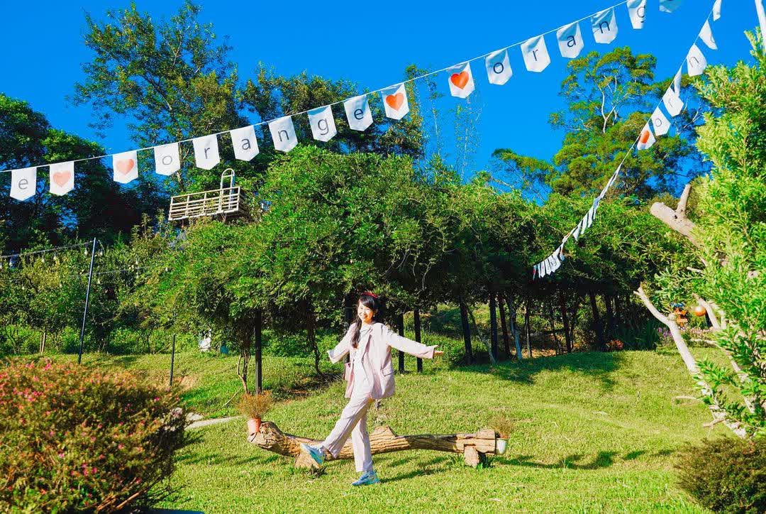 橙香森林 | 去趣 chicTrip