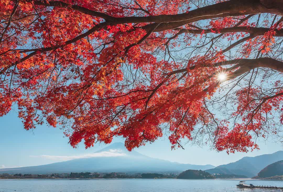 河口湖 | 去趣 chicTrip