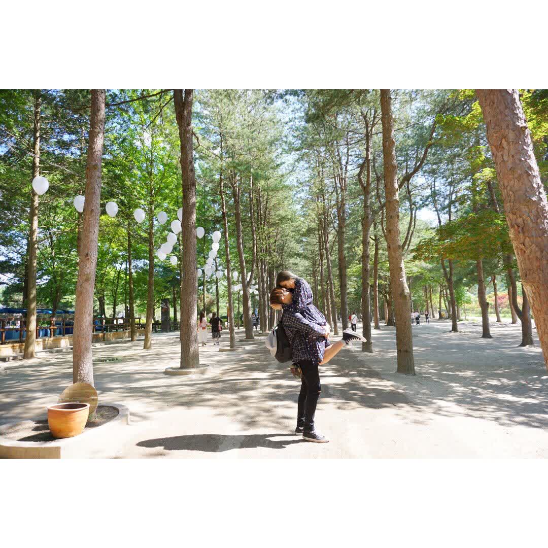 南怡島남이섬 | 去趣 chicTrip