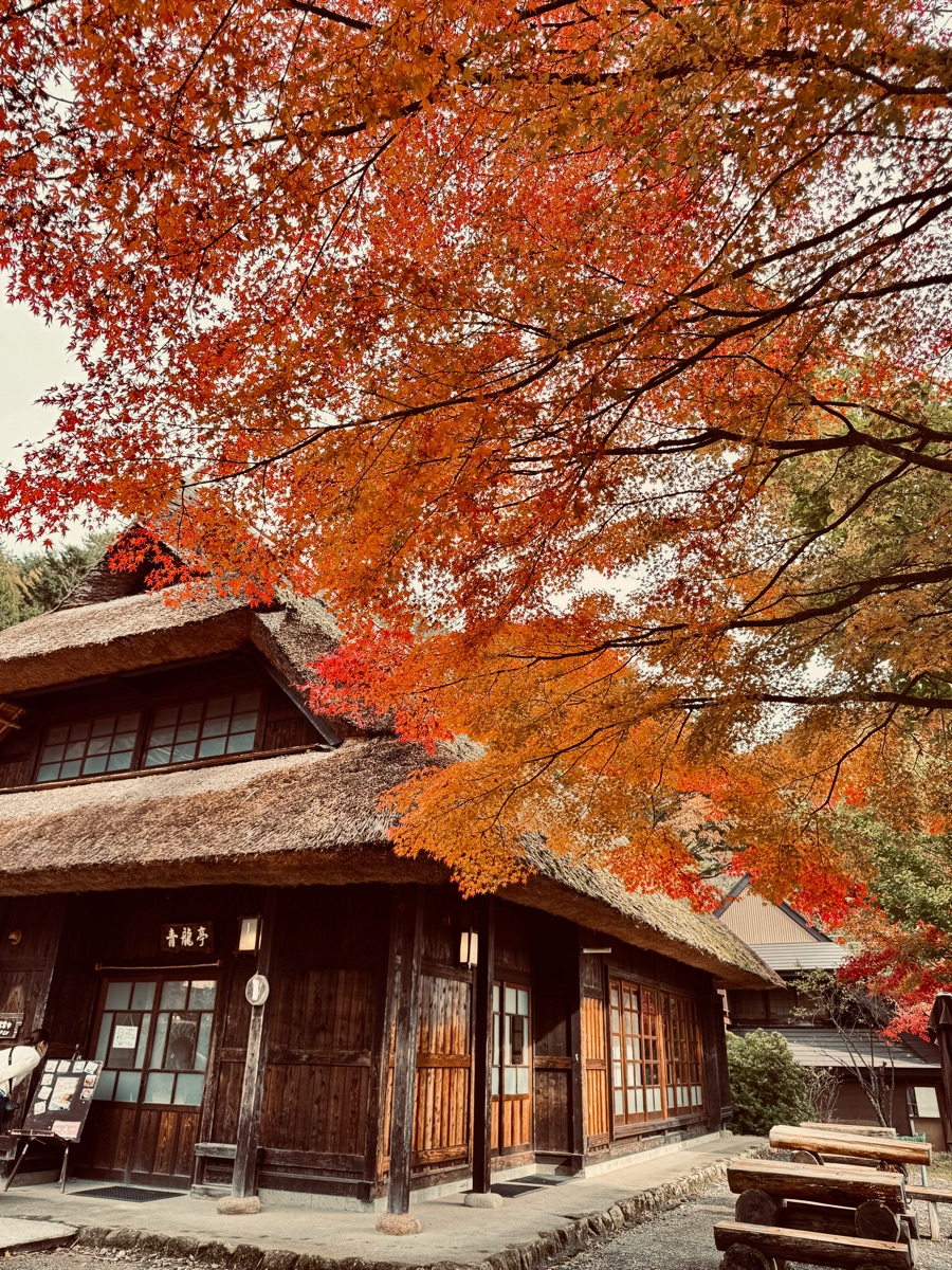 西湖 療癒之里 根場 | 去趣 chicTrip