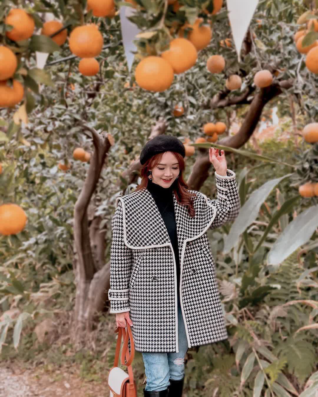 橙香森林 | 去趣 chicTrip