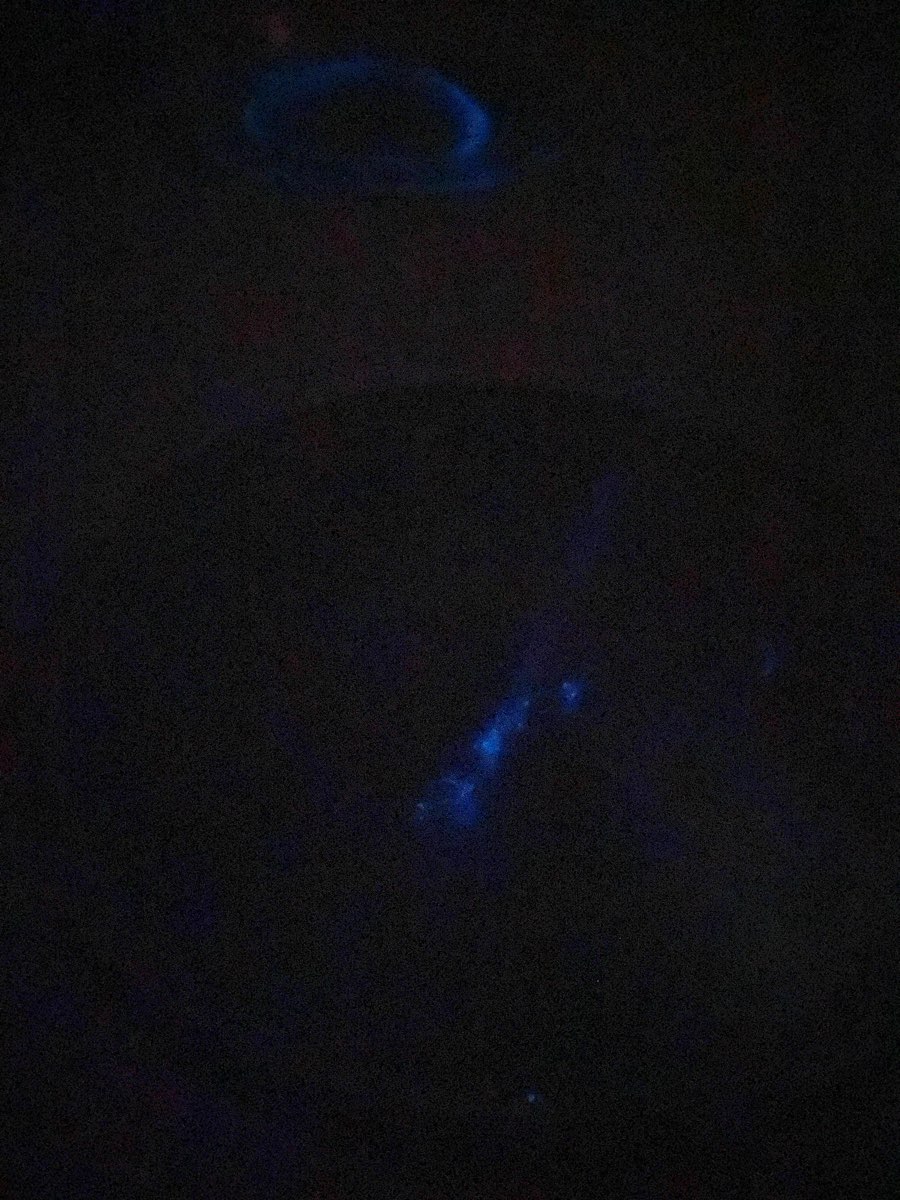 藍眼淚生態館 | 去趣 chicTrip