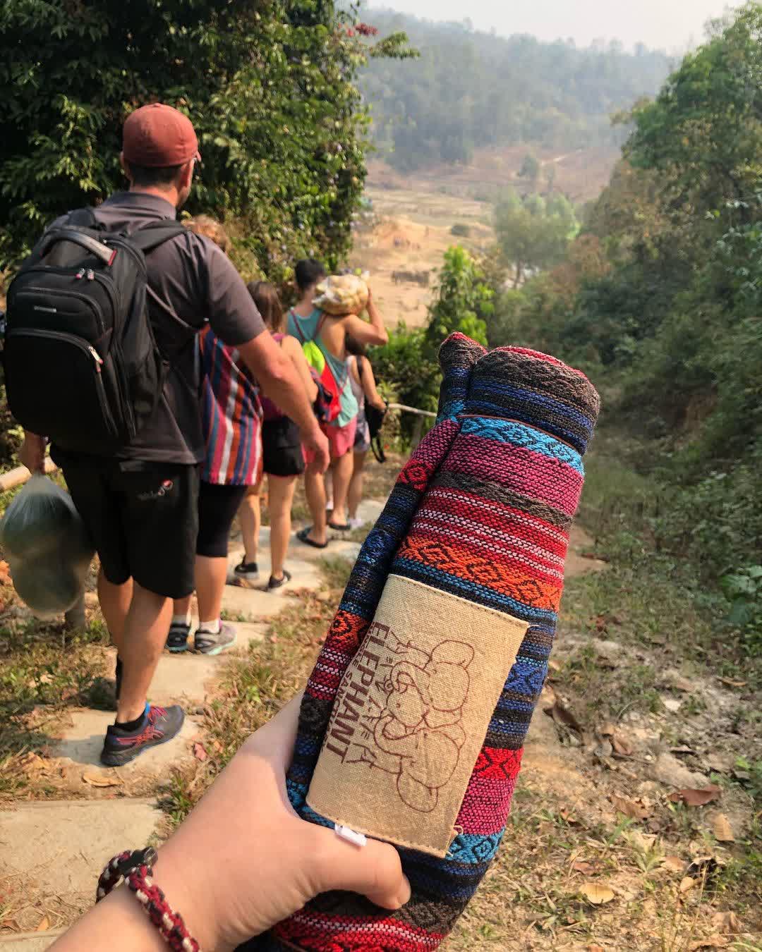 Elephant Jungle Sanctuary (Office) | 去趣 chicTrip