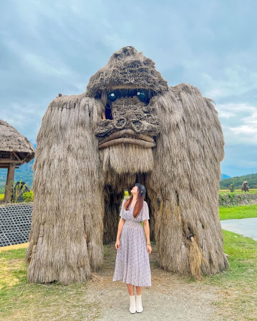 富里花海景觀區  (花蓮縣富里鄉農會旁) | 去趣 chicTrip