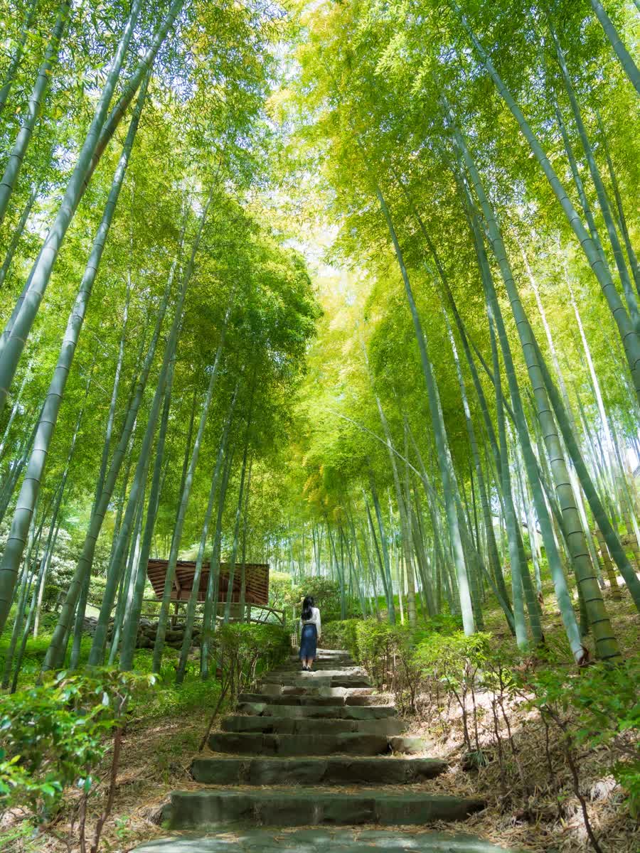 MOA美術館 | 去趣 chicTrip