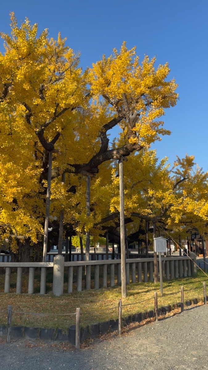 西本願寺 | 去趣 chicTrip