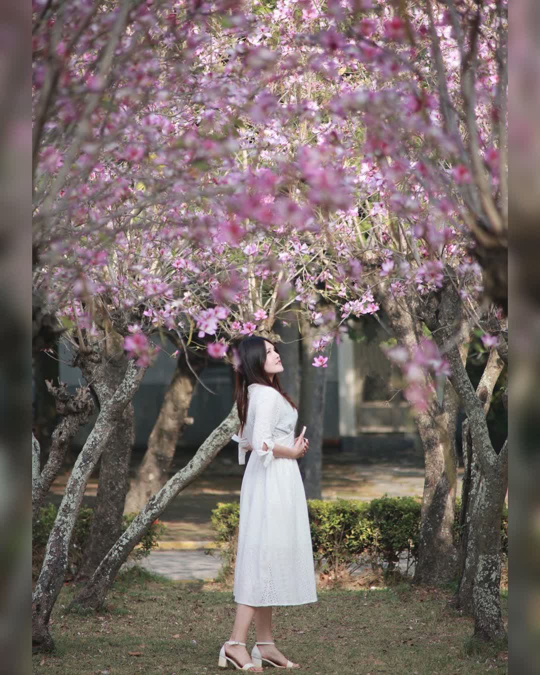 溪湖糖廠 | 去趣 chicTrip