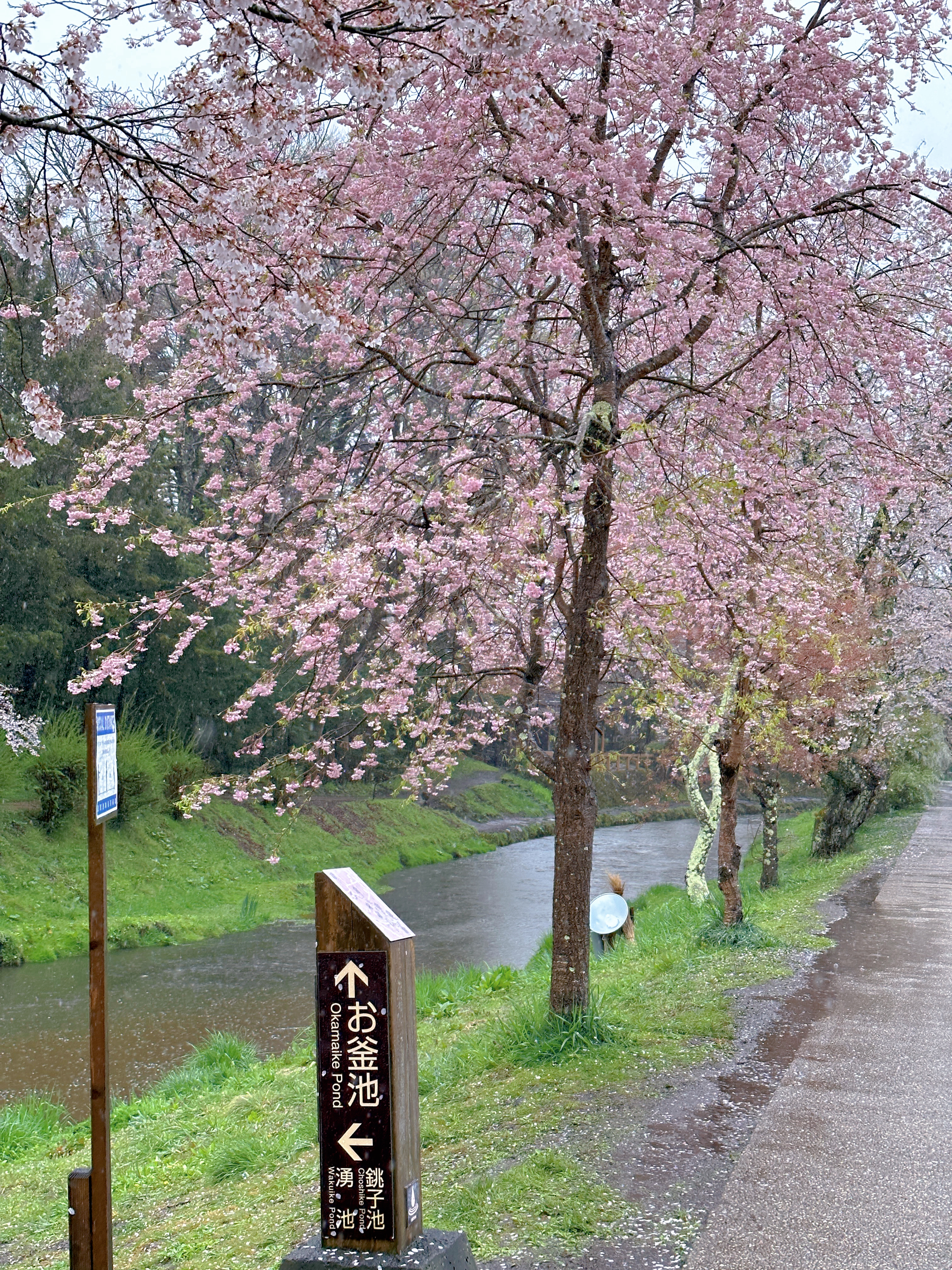 忍野八海 | 去趣 chicTrip