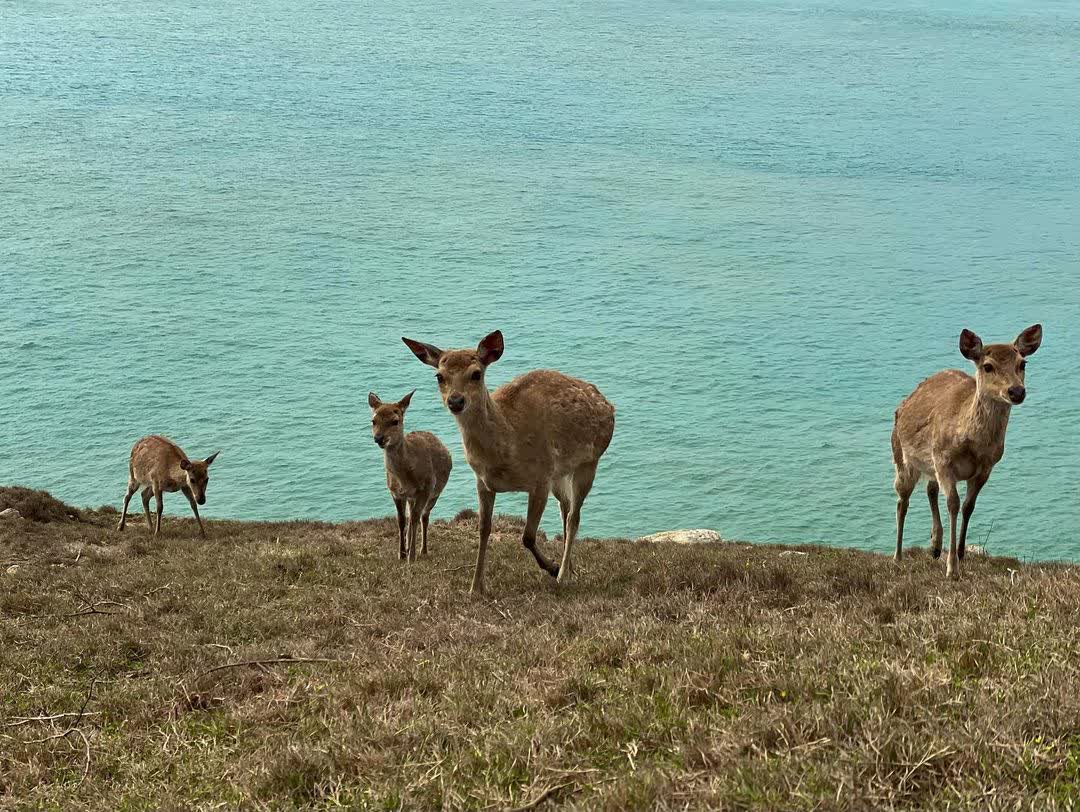 大坵島 | 去趣 chicTrip