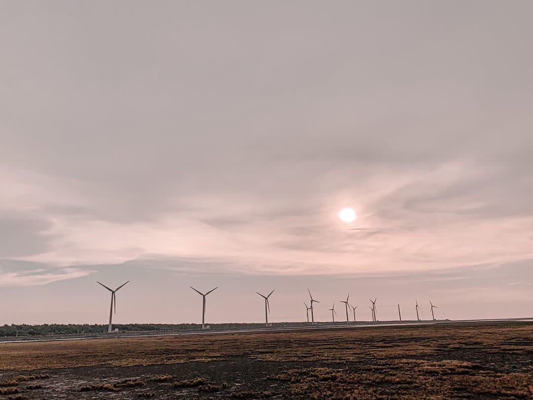 高美野生動物保護區 | 去趣 chicTrip