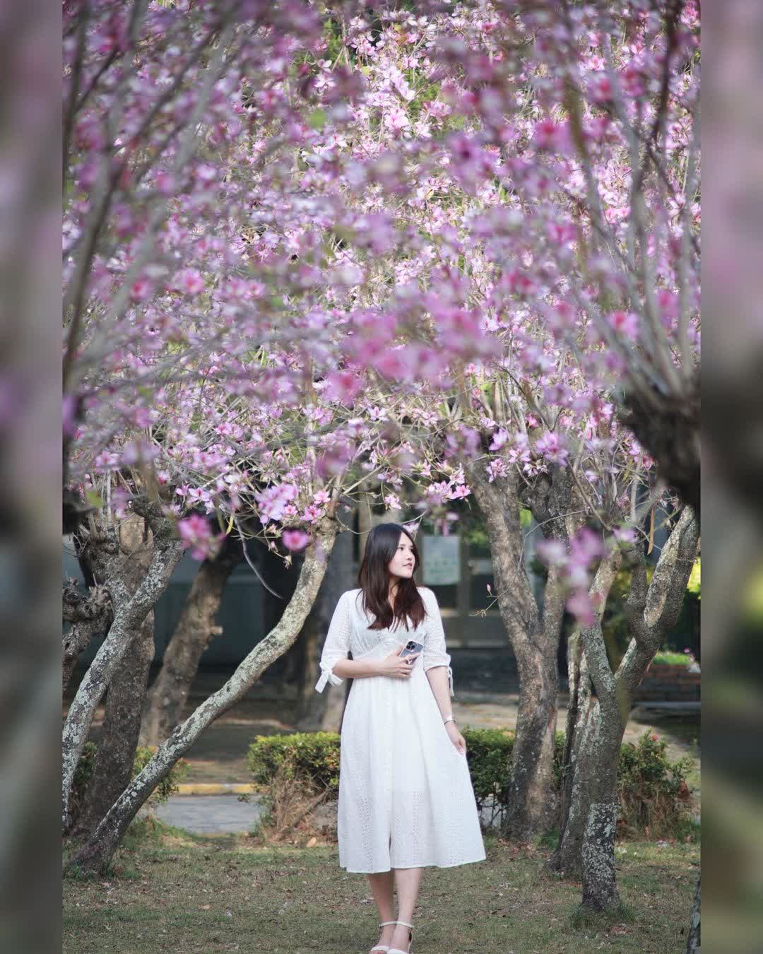 溪湖糖廠 | 去趣 chicTrip