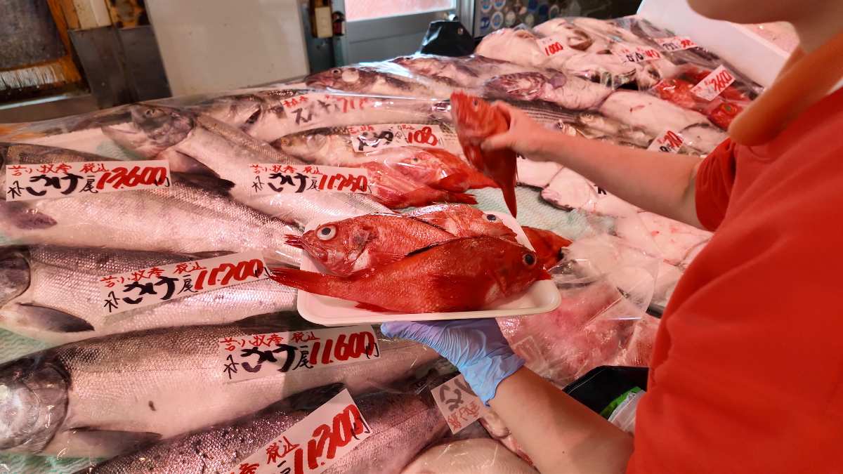 Sea Station Puratto Seaport Market | 去趣 chicTrip