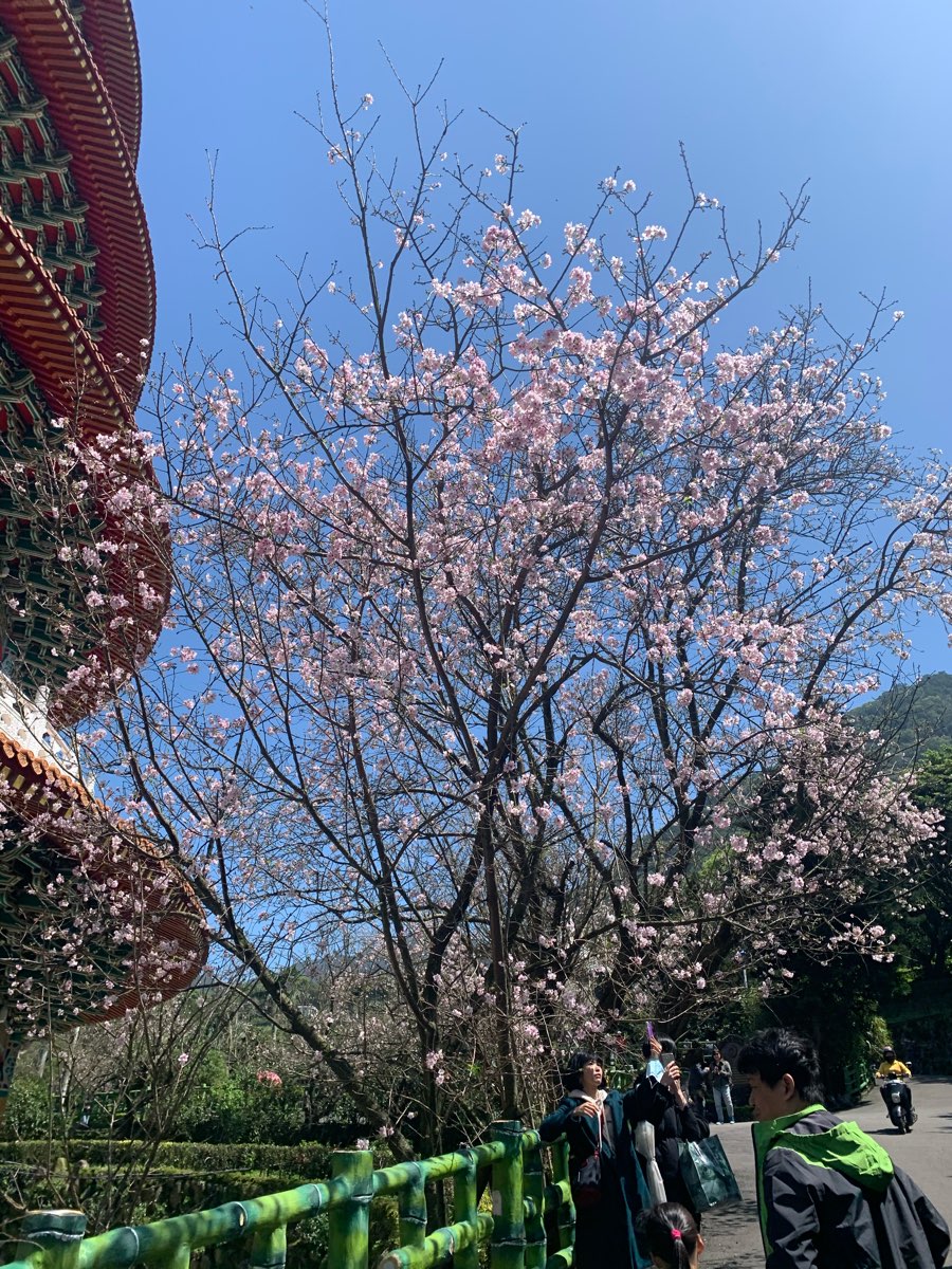 無極天元宮 | 去趣 chicTrip