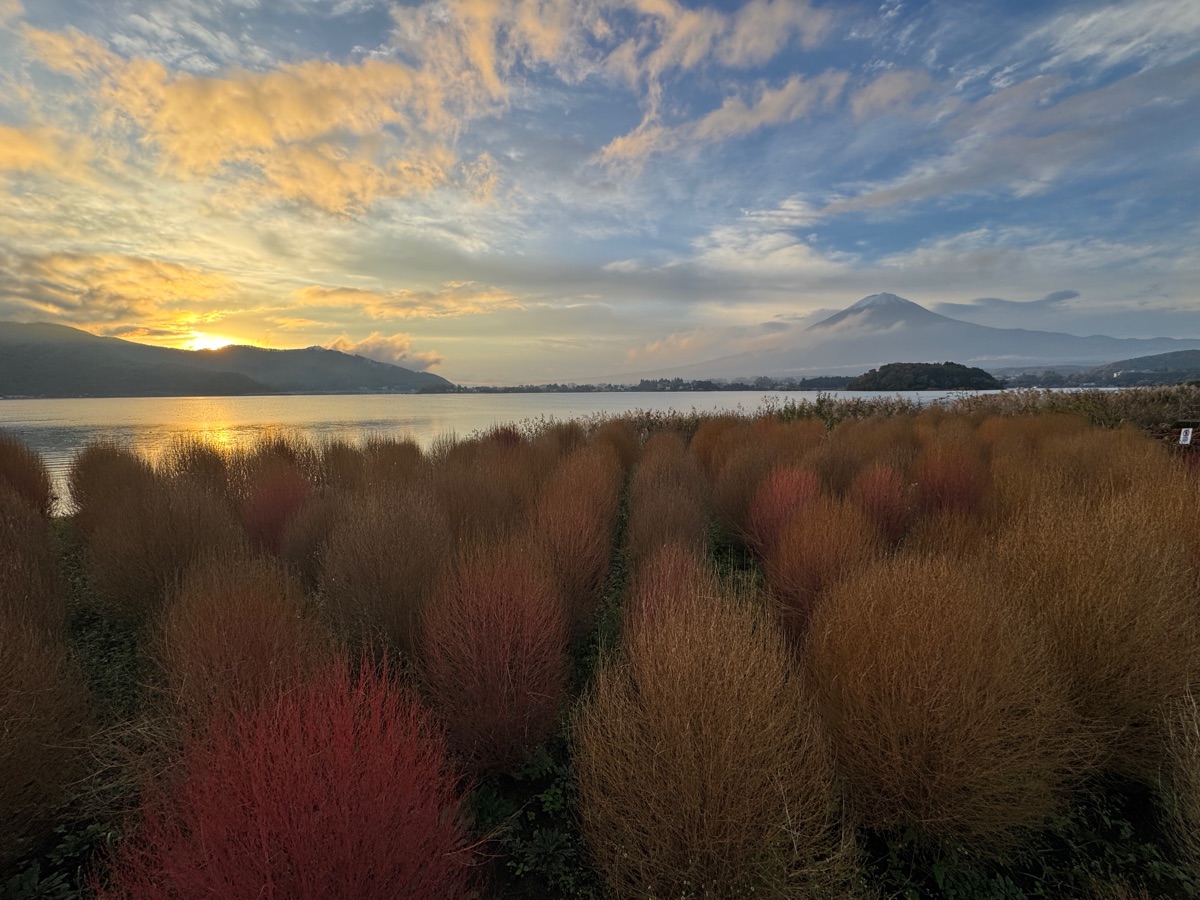 大石公園 | 去趣 chicTrip