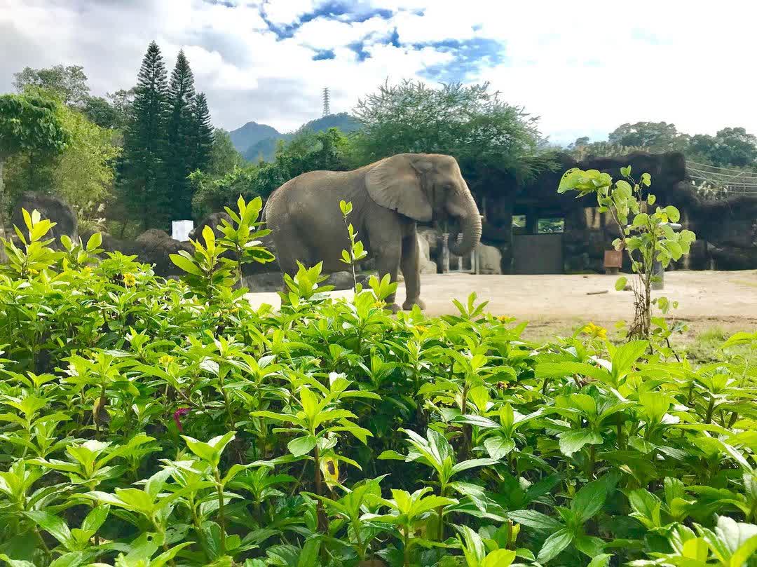 臺北市立動物園 | 去趣 chicTrip