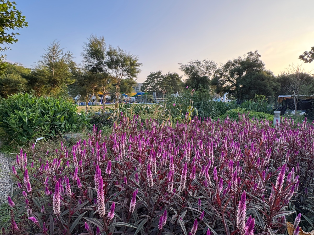鵝媽媽 鵝童樂園 | 去趣 chicTrip
