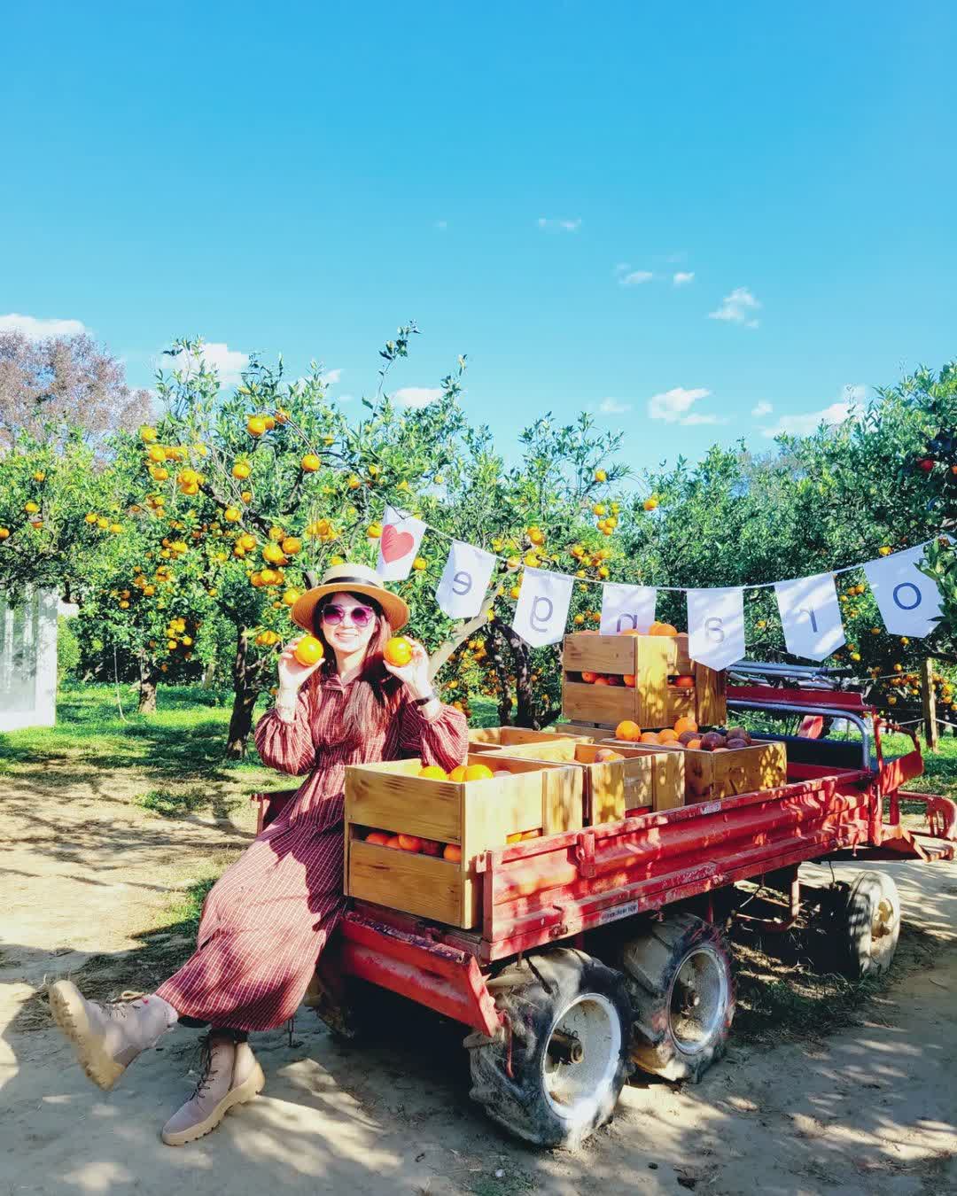 橙香森林 | 去趣 chicTrip