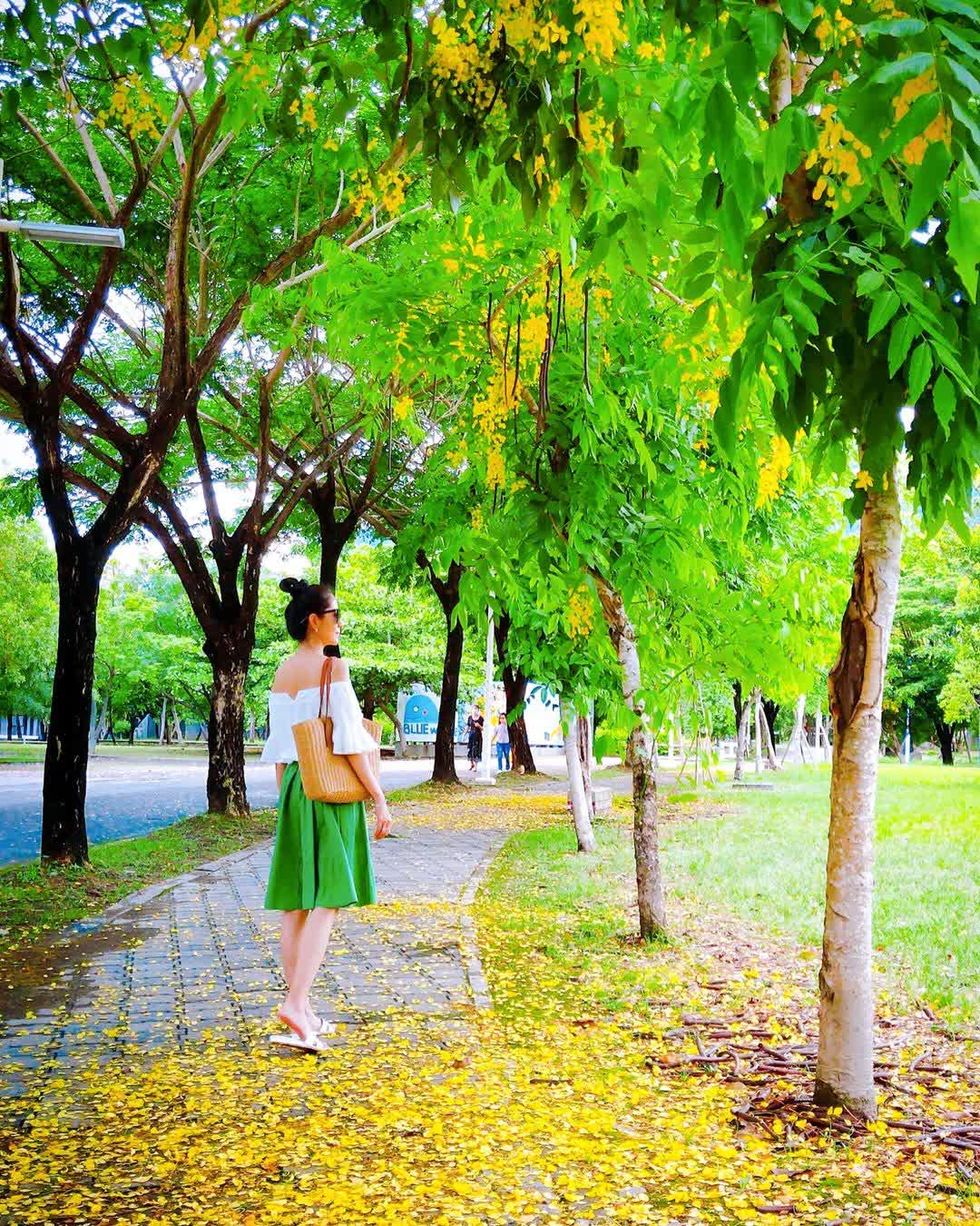 國立臺東大學圖書資訊館 | 去趣 chicTrip