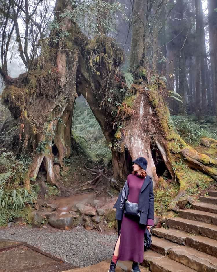 阿里山國家森林遊樂區 | 去趣 chicTrip