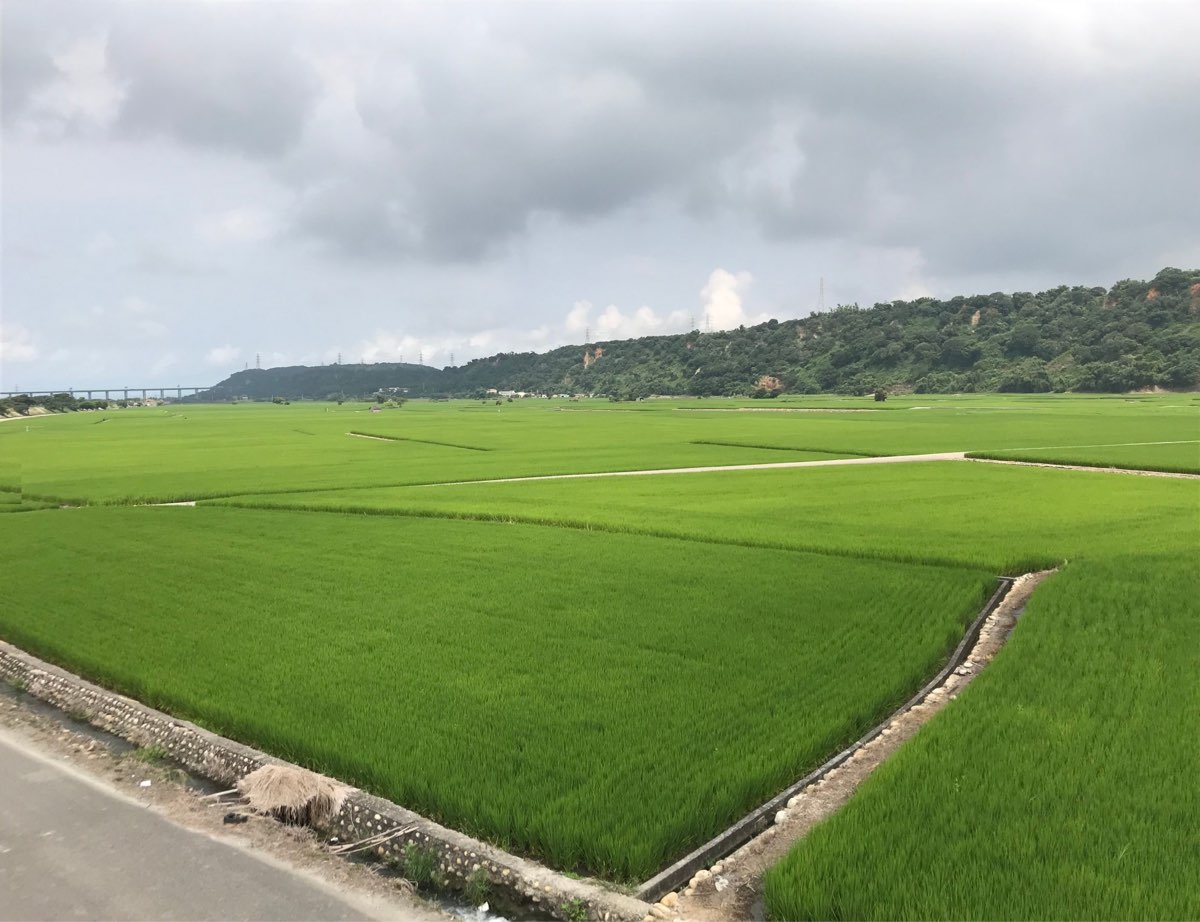 外埔忘憂谷 | 去趣 chicTrip