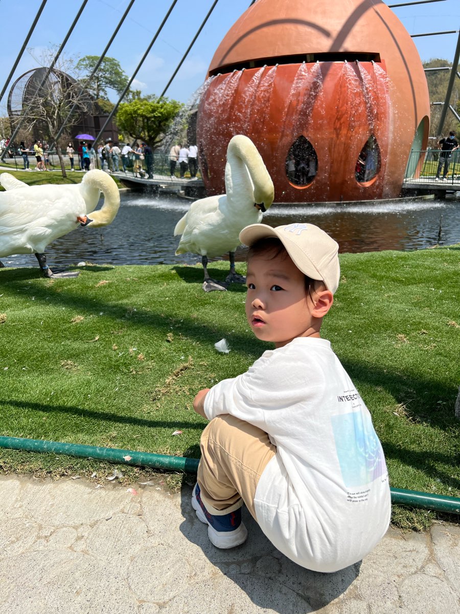 九九峰動物樂園 | 去趣 chicTrip