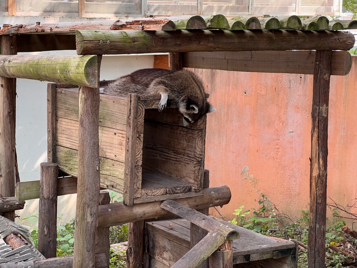 新竹市立動物園 | 去趣 chicTrip