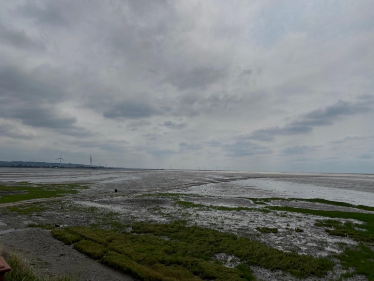 香山濕地 | 去趣 chicTrip